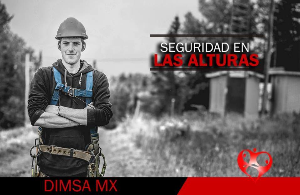 Dimsa Seguridad Industrial y de Salud 6