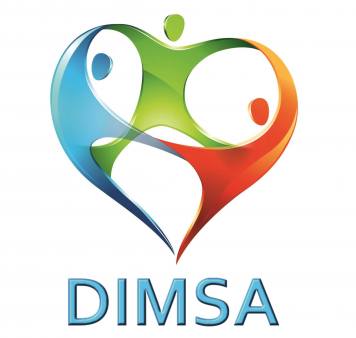 Dimsa Seguridad Industrial y de Salud 1